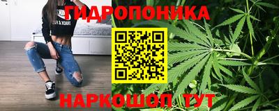 мдма Новозыбков