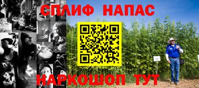 мдма Новозыбков