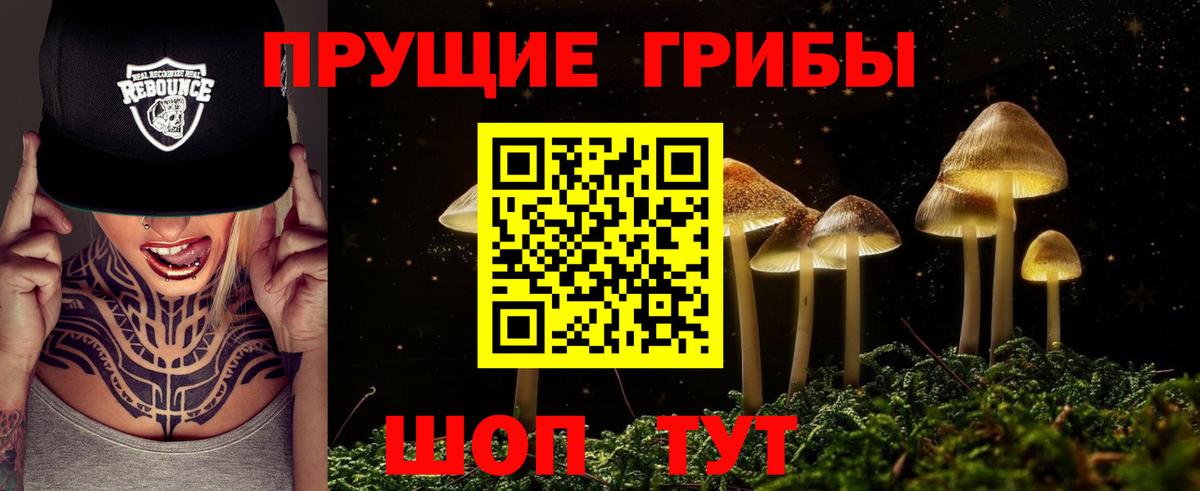 Галлюциногенные грибы Psilocybe Белореченск
