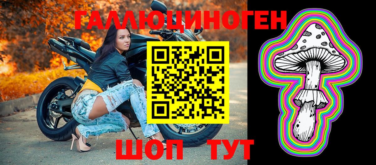 где можно купить наркотик  Псилоцибиновые грибы мухоморы  Вход с VPN  Псилоцибиновые грибы Psilocybine cubensis  Белореченск 